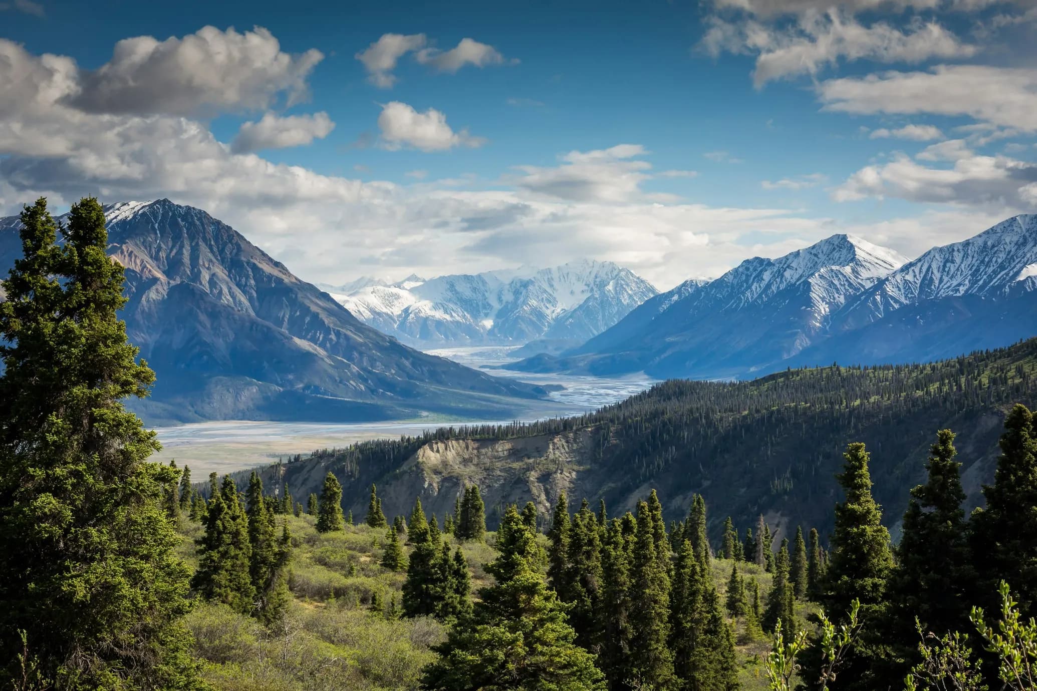 FlyOppi Mountains