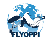 flyappi logo 1